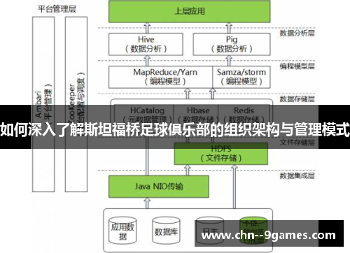 如何深入了解斯坦福桥足球俱乐部的组织架构与管理模式