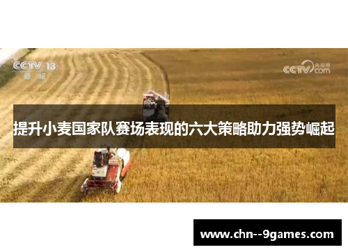 提升小麦国家队赛场表现的六大策略助力强势崛起