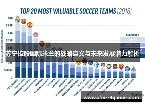 苏宁控股国际米兰的战略意义与未来发展潜力解析 苏宁控股国际米兰的战略意义与未来发展潜力解析