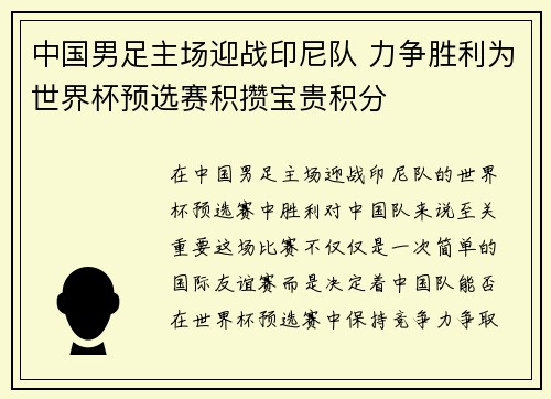 中国男足主场迎战印尼队 力争胜利为世界杯预选赛积攒宝贵积分